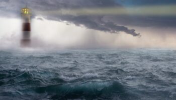 Bild von Enrique auf Pixabay