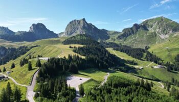 Bild von Shana und Marino auf Pixabay