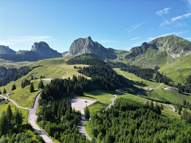 Bild von Shana und Marino auf Pixabay